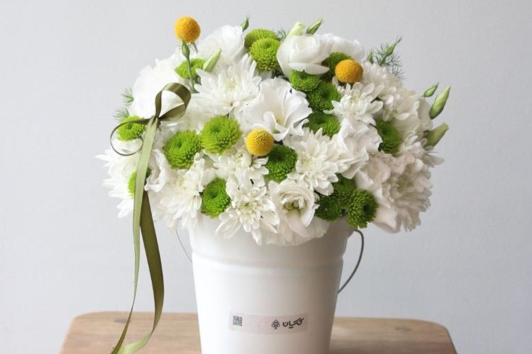 انواع گل مناسب هدیه به آقایان برای روز مرد| راهنمای انتخاب گل مردانه