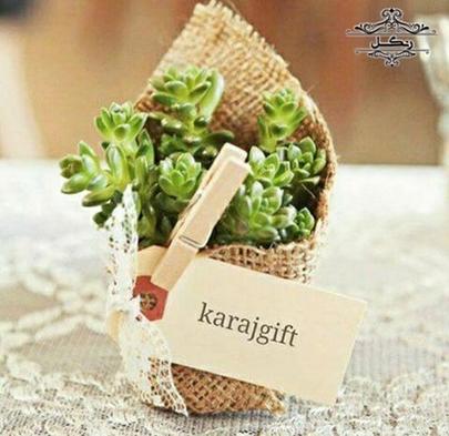 ایده جدید ارزان شیک گیفت عروسی